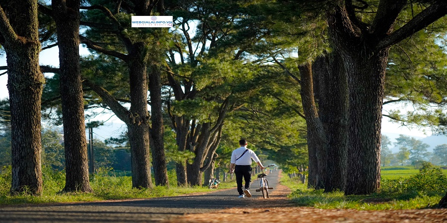 Du Lịch Pleiku Gia Lai