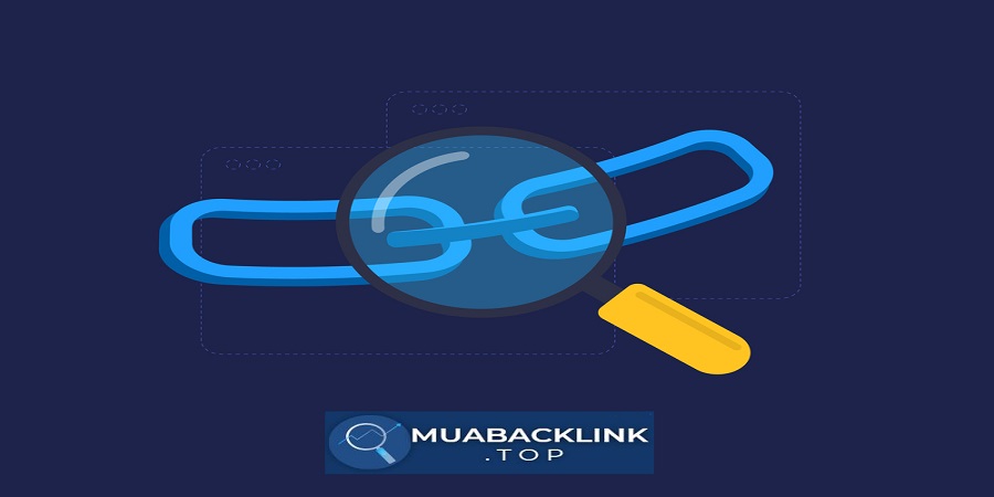 Cung Cấp Người Đi Backlink